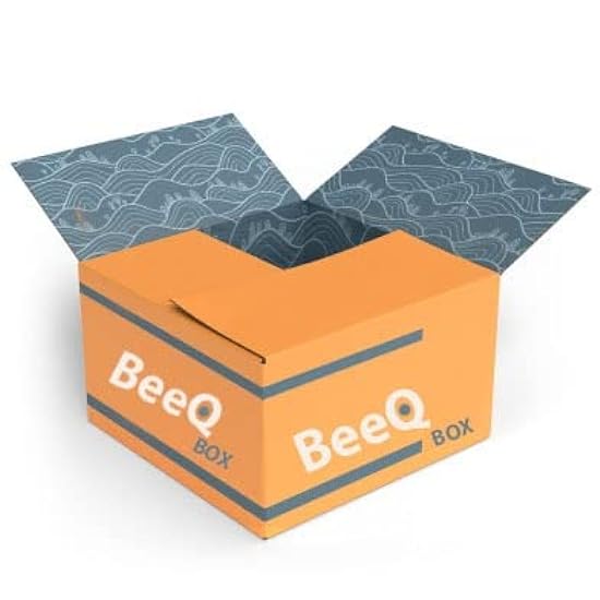 BEEQ BOX - (Pack of 12) Canada Dry Bitter Lemon, 10 Fl Oz 245261909