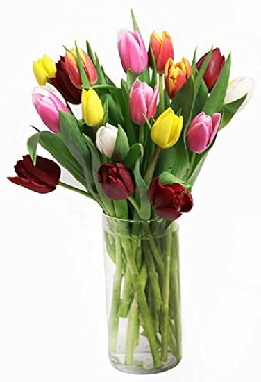 Fresh Cut Tulips Mix Colors 30 stems with Free Vase 762