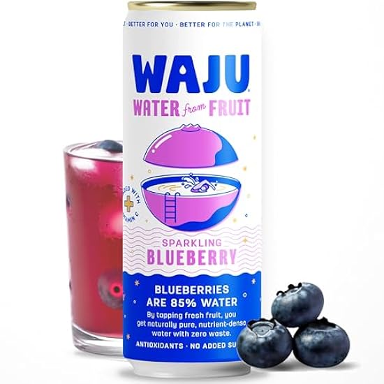 WAJU Organic Sparkling Blueberry Water, No Added Sugar, Immune Support with 100% DV Vitamin C, Antioxidant Nutrients, Environmentally Friendly Sourcing - 12 pack (12 oz) 829623114