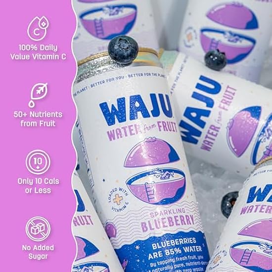 WAJU Organic Sparkling Blueberry Water, No Added Sugar, Immune Support with 100% DV Vitamin C, Antioxidant Nutrients, Environmentally Friendly Sourcing - 12 pack (12 oz) 829623114