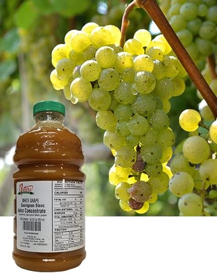 Nature Blessed 100% Pure Sauvignon Blanc Blanco Grape Fruit Juice Concentrate - 1 Quart (1/32 fl oz bottle), Excellent for Home Brewers, Vintners, Distilling, Smoothies 992777936