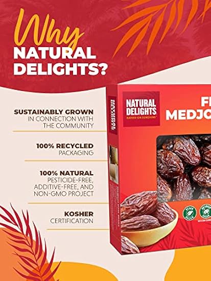 Natural Delights Medjool Dates – Large & Plump Whole Dates Medjool, Non-GMO Verified, Good Source of Fiber, Naturally Sweet Fruit Snack, Perfect for On-the-Go - Medjool Dates Whole, 11 lb Box 396824004